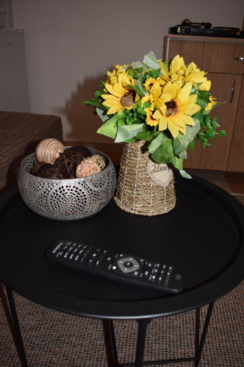 Apartament Zimbru Cluj-Napoca Buitenkant foto